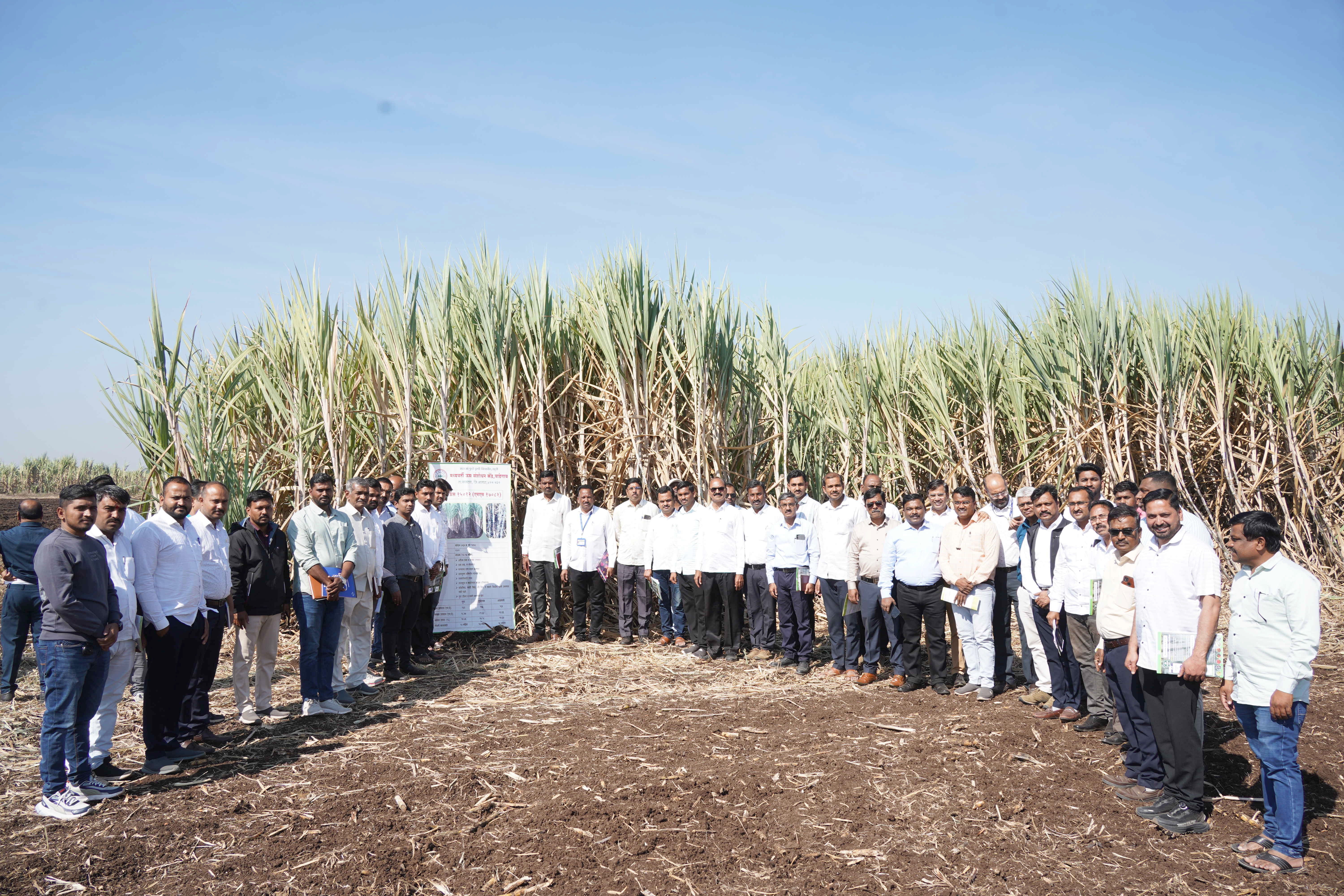 Introduction to New Improved Varieties of Sugarcane: Seminar and Field Visit