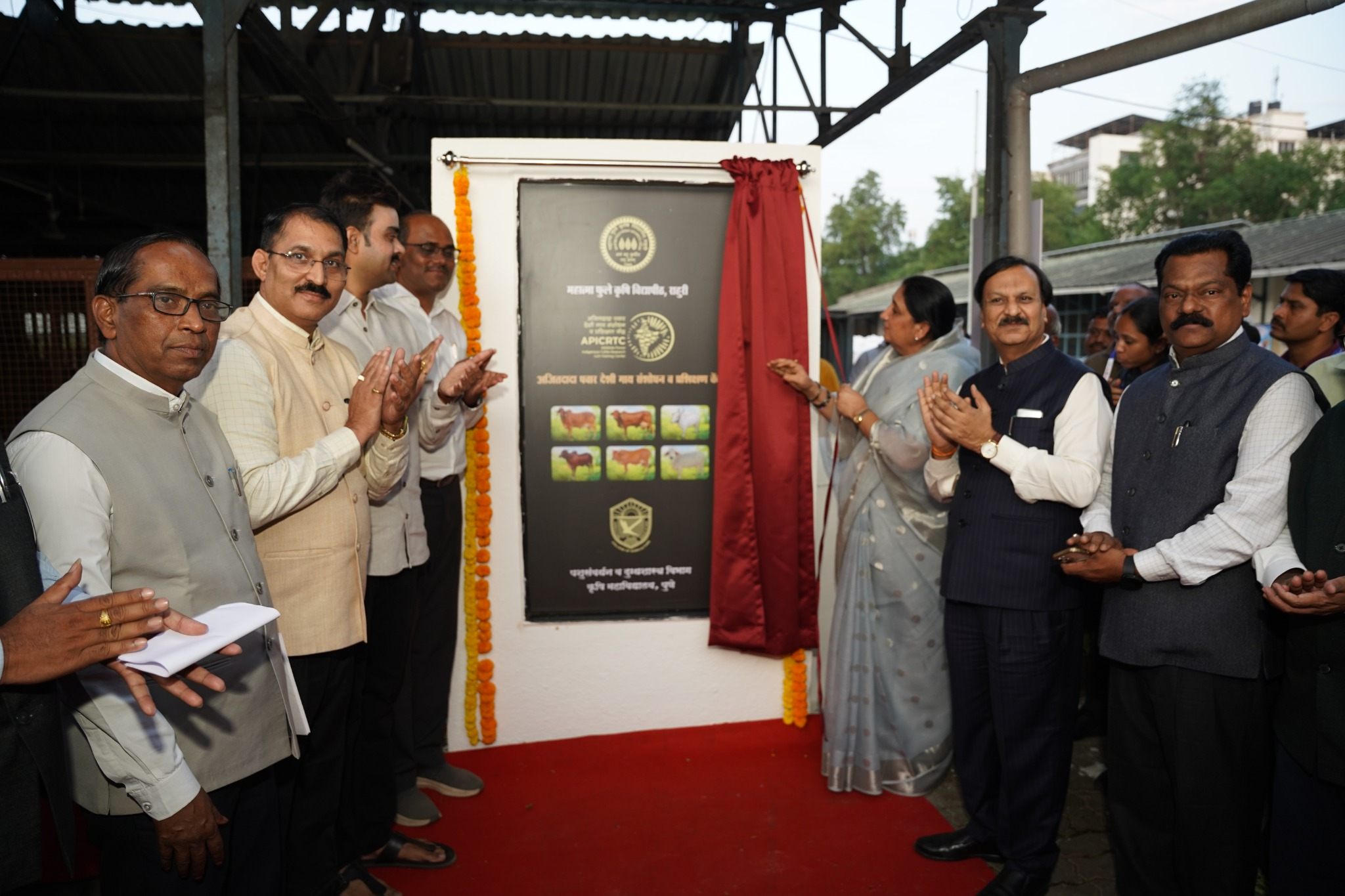 Honoring Indigenous Cattle Heritage : Ajit Dada Pawar Indigenous Cow Research and Training Centre